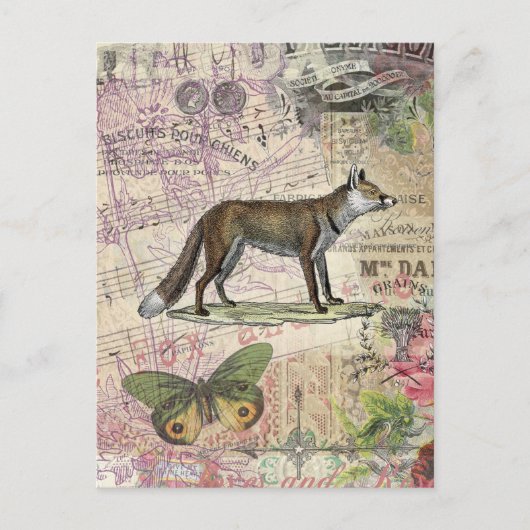 Fox Wildlife Vintag Animal Illustration Postkarte (Vorderseite)