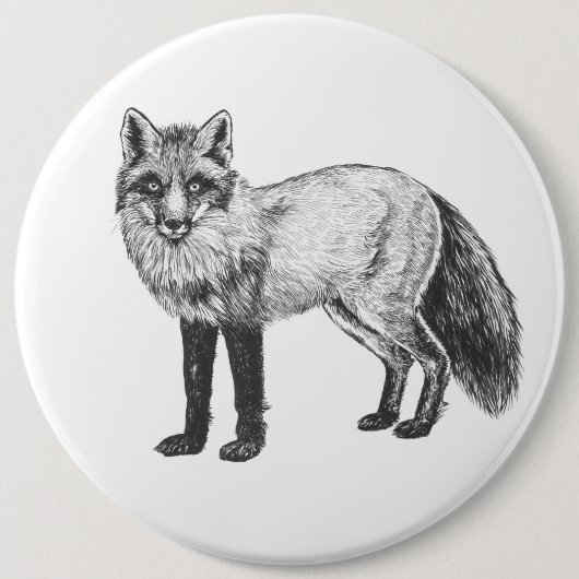 Fox zeichnend button (Vorderseite)