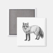 Fox zeichnend magnet (Vorderseite/Rückseite)