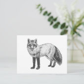 Fox zeichnend postkarte (Stehend Vorderseite)