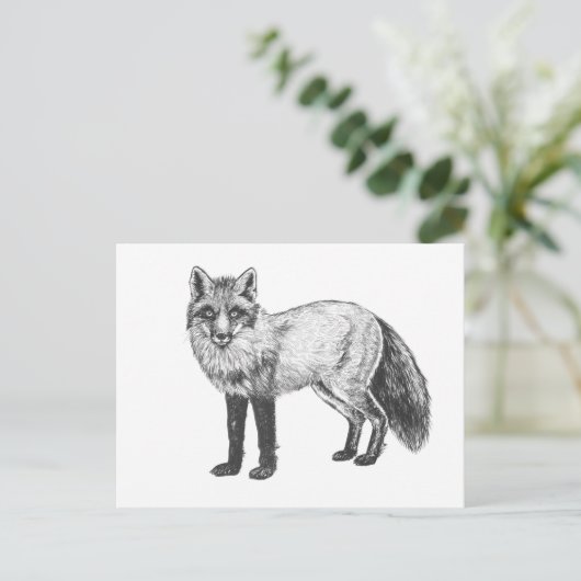 Fox zeichnend postkarte (Stehend Vorderseite)