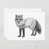 Fox zeichnend postkarte (Vorne/Hinten)
