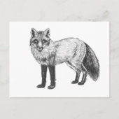 Fox zeichnend postkarte (Vorderseite)
