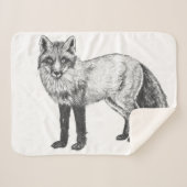 Fox zeichnend sherpadecke (Vorderseite (Horizontal))