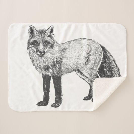 Fox zeichnend sherpadecke (Vorderseite (Horizontal))