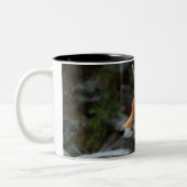 Fox Zweifarbige Tasse (Links)