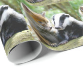 Foxcub & Badger Niedlich! Geschenkpapier (Rolleneckpunkt)