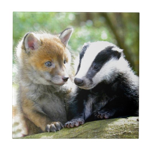 Foxcub u. Dachs niedlich! Fliese (Vorderseite)