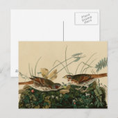 Foxenammer Postkarte (Vorne/Hinten)