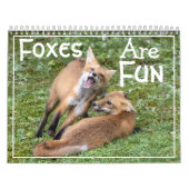 Foxes Are Fun Calendar Kalender (Titelbild)