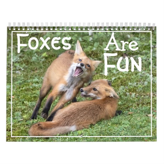 Foxes Are Fun Calendar Kalender (Titelbild)