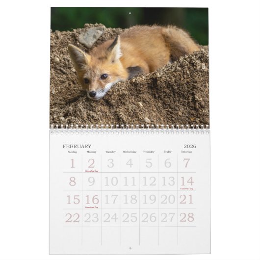 Foxes Are Fun Calendar Kalender (Feb 2026)