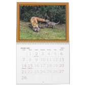 Foxes Funnies Calendar Kalender (Feb 2027)