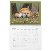 Foxes Funnies Calendar Kalender (Mär 2027)