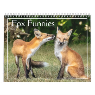 Foxes Funnies Calendar Kalender