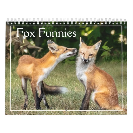 Foxes Funnies Calendar Kalender (Titelbild)