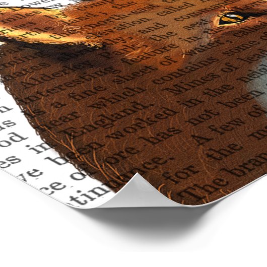 Foxes in Love Poster (Ecke)