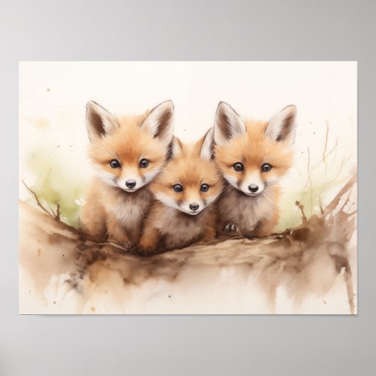 Foxes Poster (Vorne)