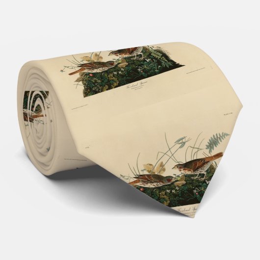 Foxfarbener Sparrow - Audubons Vögel in Amerika Krawatte (Gerollt)