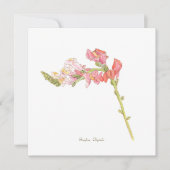 Foxglove (Vorderseite)