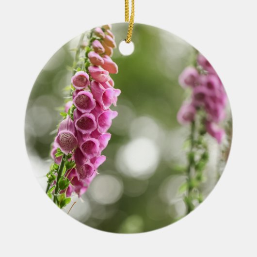 Foxglove Blossom Nature Foto Keramik Ornament (Vorne)