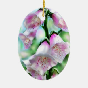 Foxglove Blume Blumenzwiebeln Blume Rosa Grün Weiß Keramik Ornament