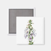 Foxglove-Blume Magnet (Vorderseite/Rückseite)