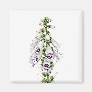 Foxglove-Blume Magnet