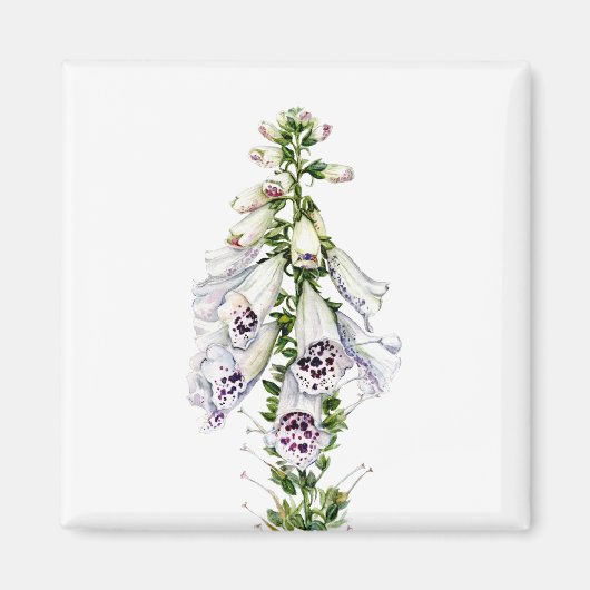 Foxglove-Blume Magnet (Vorne)