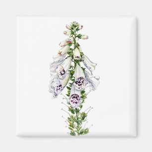 Foxglove-Blume Magnet
