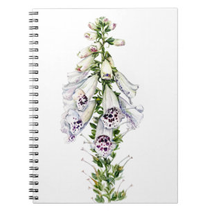 Foxglove-Blume Notizblock