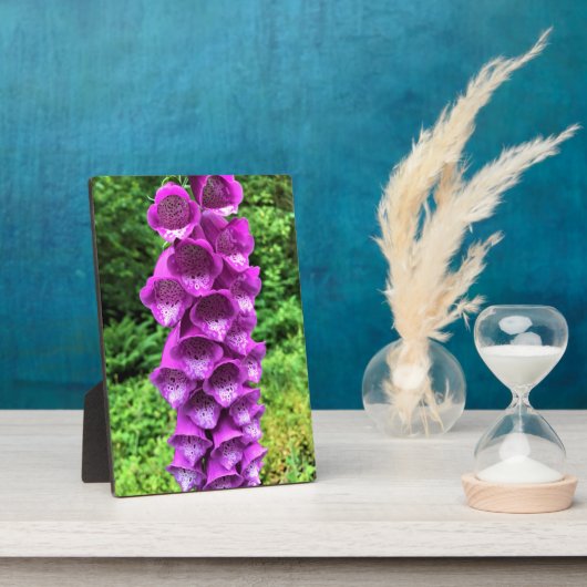 Foxglove Blume, Oregon Fotoplatte (Seite)