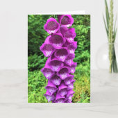 Foxglove Blume, Oregon Karte (Vorderseite)