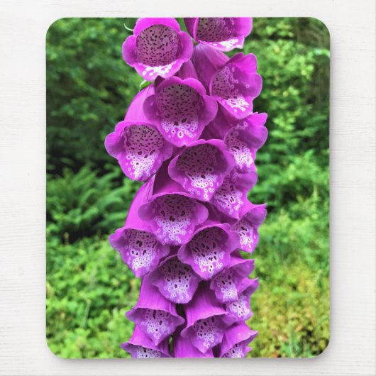 Foxglove Blume, Oregon Mousepad (Vorne)