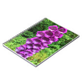 Foxglove Blume, Oregon Notizblock (Linke Seite)