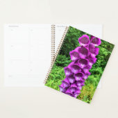 Foxglove Blume, Oregon Planer (Anzeige)