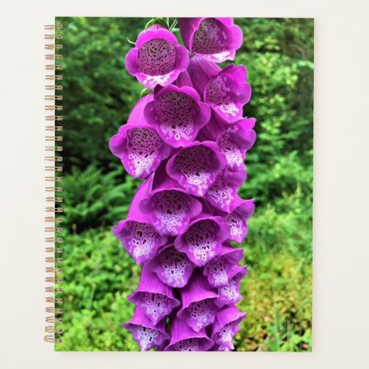 Foxglove Blume, Oregon Planer (Vorderseite)