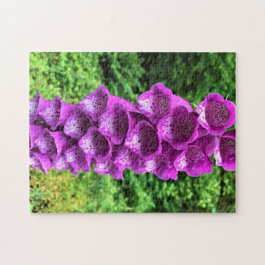 Foxglove Blume, Oregon Puzzle (Horizontal)