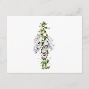 Foxglove-Blume Postkarte