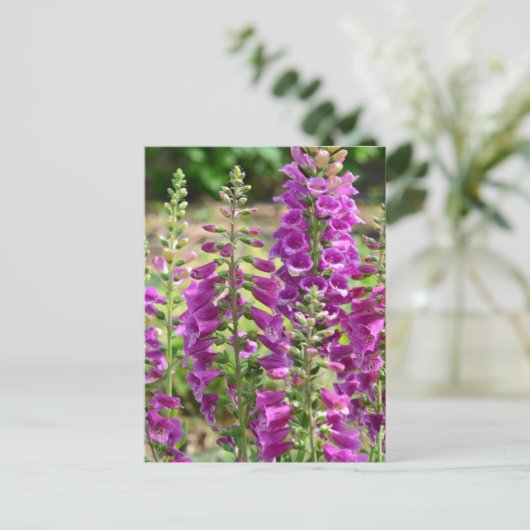 Foxglove-Blume Postkarte (Stehend Vorderseite)