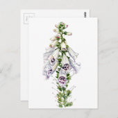 Foxglove-Blume Postkarte (Vorne/Hinten)
