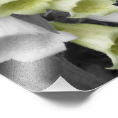 Foxglove-Blume: Teilfarben 8x10 Fotodruck (Ecke)
