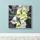 Foxglove-Blume - teilweise Farbe Leinwanddruck (Insitu (Holzboden))
