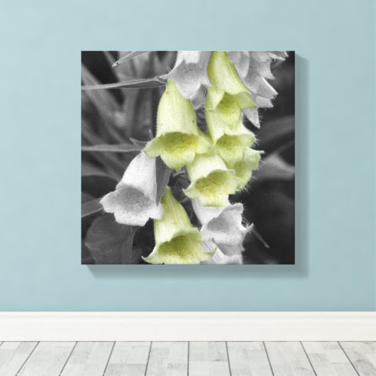 Foxglove-Blume - teilweise Farbe Leinwanddruck (Insitu (Holzboden))