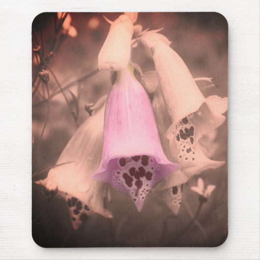 Foxglove-Blume Vintag Schwarz-Weiß Mousepad (Vorne)
