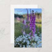Foxglove & Daisies Mitteilungskarte (Vorne/Hinten)