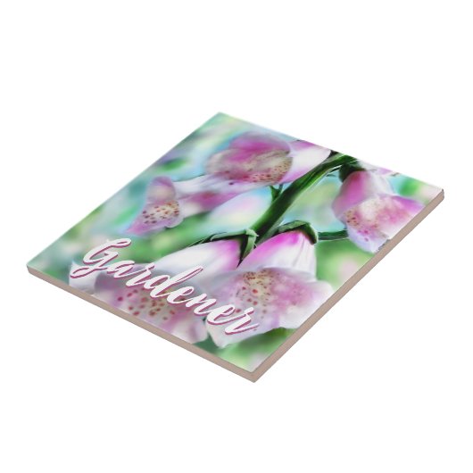 Foxglove Flowers Floral Pink Garden Personalized Fliese (Seite)