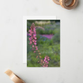Foxglove in einem Garten der Stille Mitteilungskarte (Vorderseite/Rückseite Beispiel)