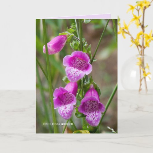 Foxglove Karte (Gelbe Blume)