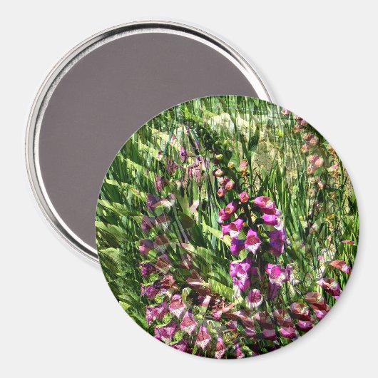 Foxglove Liebe...... Magnet (Vorderseite/Rückseite)